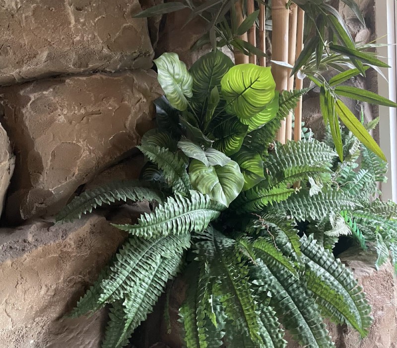 Rénovation immersive en roche artificielle pour Tiki Spa à Saint-Folquin : création d’une concept Loveroom tropicale avec jacuzzi, décoration minérale et projection vidéo océanique